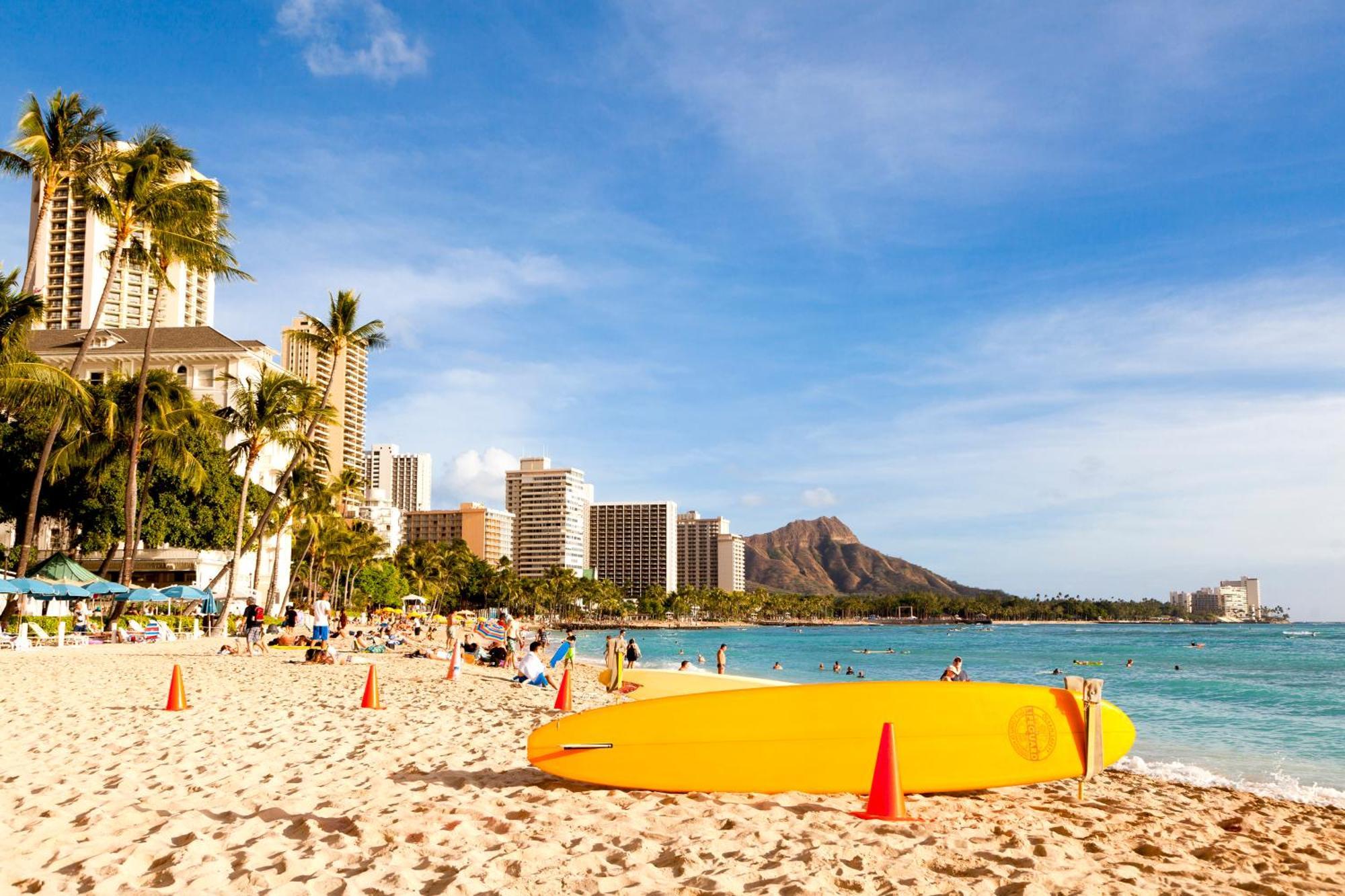 Renovated Ocean View Suite, Near Beach, Free Parking Honolulu Kültér fotó