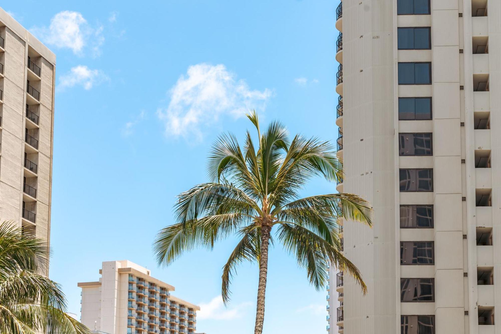 Renovated Ocean View Suite, Near Beach, Free Parking Honolulu Kültér fotó