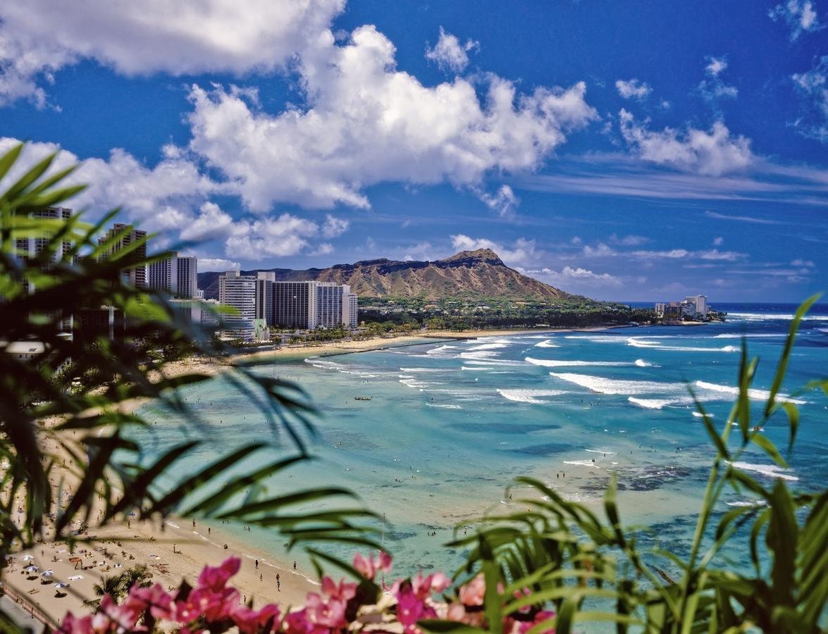 Renovated Ocean View Suite, Near Beach, Free Parking Honolulu Kültér fotó